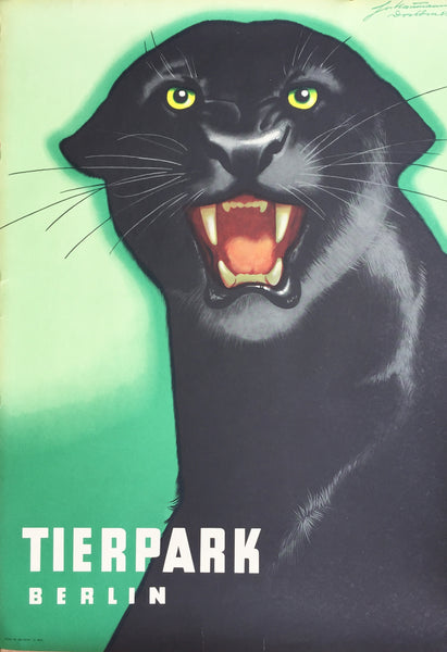 Panther, Berlin Zoo, Germany, 1963