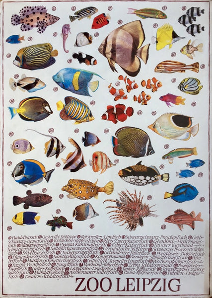 Leipzig Zoo - Fish – Germany, 1979/80